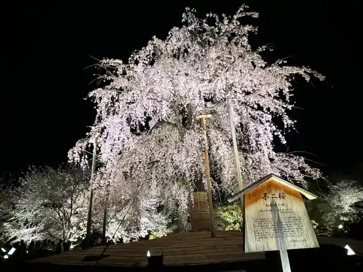 東寺(教王護国寺)(京都府)