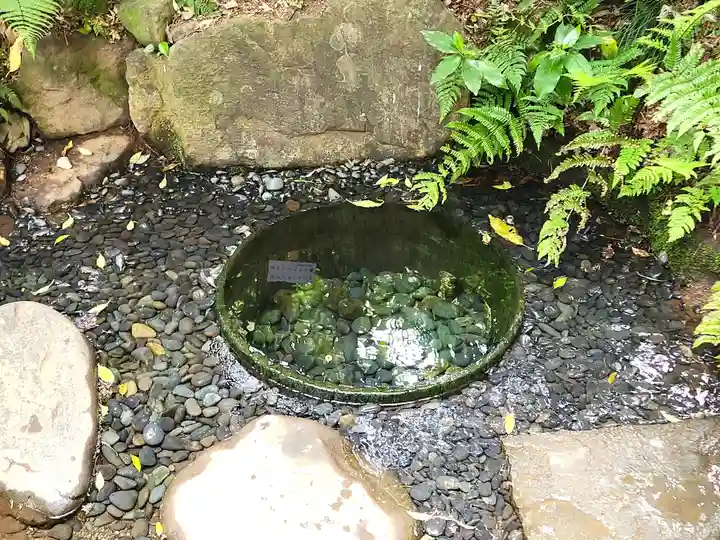 明治神宮(東京都)