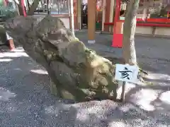 渋川八幡宮の自然