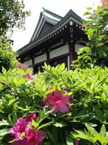 岩槻大師彌勒密寺の庭園