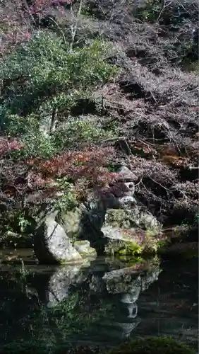 蓮華寺（洛北蓮華寺）(京都府)
