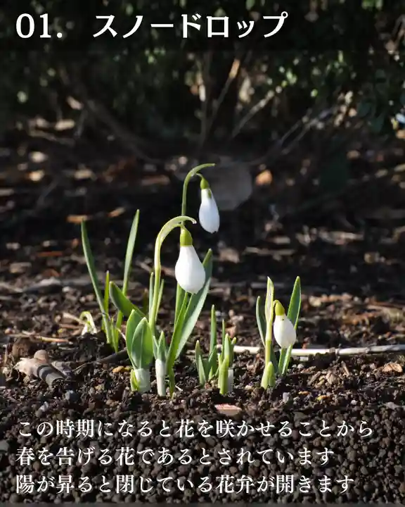 宝光寺(北海道)