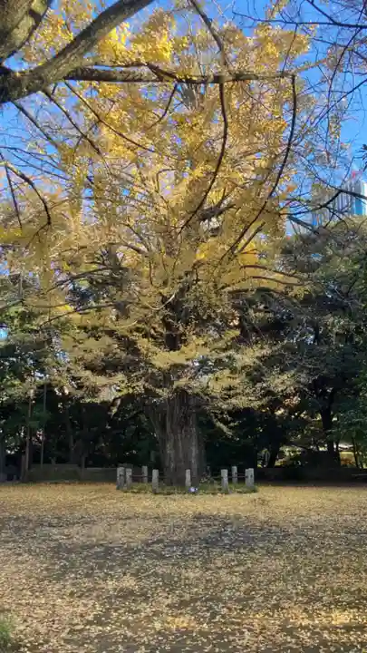 赤坂氷川神社(東京都)