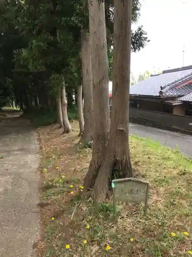 楯縫神社のその他建物