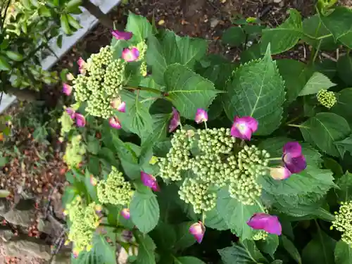 大生郷天満宮の自然