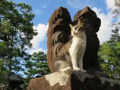 智恩寺(京都府)