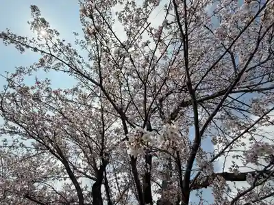西方山極楽寺(岐阜県)