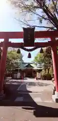 須賀神社の鳥居