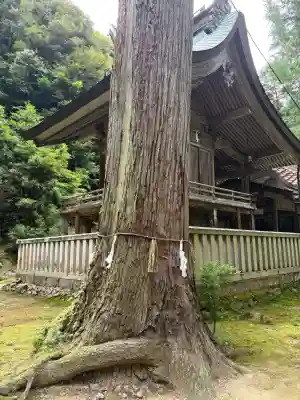 栗溪神社(鳥取県)