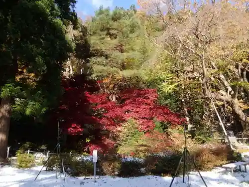 函館八幡宮の自然