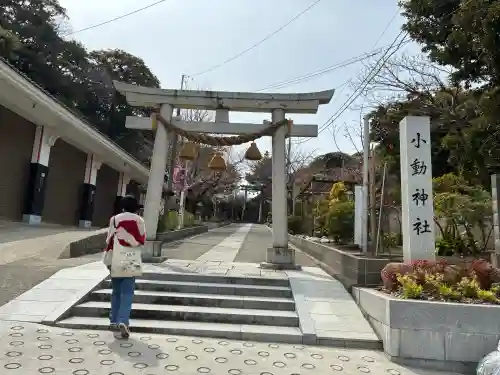 小動神社の{uncategorized: "未分類", other: "その他", undefined: "問題あり", building: "その他建物", grave: "お墓", sacred_gate: "鳥居", guardian: "狛犬", statue: "像", buddha: "仏像", history: "歴史", nature: "自然", garden: "庭園", animal: "動物", pagoda: "塔", temizu: "手水舎", mountain_gate: "山門・神門", sanctuary: "本殿・本堂", subordinate: "末社・摂社", art: "芸術", scenery: "景色", jizo: "地蔵", ema: "絵馬", goshuin: "御朱印", omikuji: "おみくじ", items: "授与品その他", amulet: "お守り", goshuincho: "御朱印帳", eats: "食事", festival: "お祭り", votive_dance: "神楽", shichigosan: "七五三参", wedding: "結婚式", experience: "体験その他", initially: "初詣", around: "周辺", anti_infection: "感染症対策"}