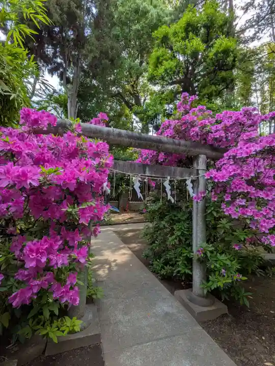 鳩森八幡神社(東京都)