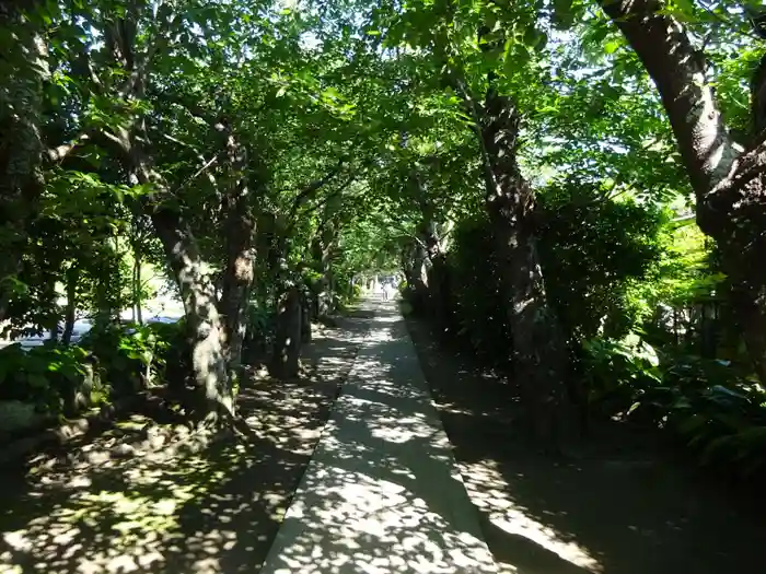 極楽寺（霊鷲山感應院極楽律寺）の建物その他