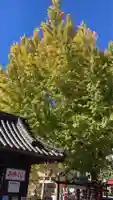 瀧宮神社(広島県)