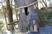 阿久津「田村神社」(郡山市阿久津町)旧社名:伊豆箱根三嶋三社の自然