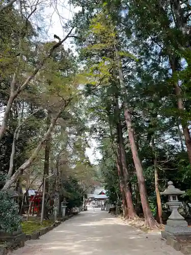 奥石神社(滋賀県)