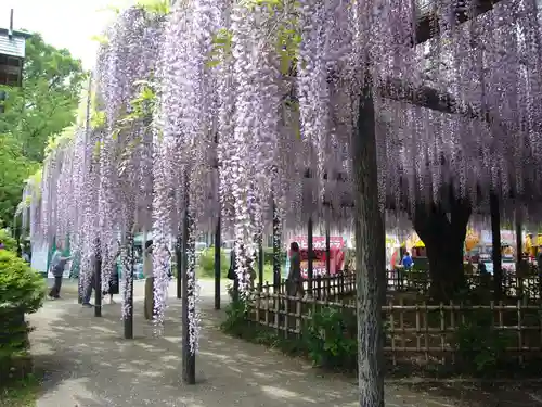 玉敷神社(埼玉県)