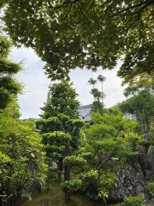 正法寺の庭園