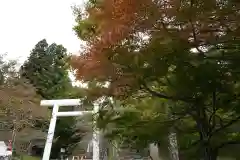 土津神社｜こどもと出世の神さまの鳥居