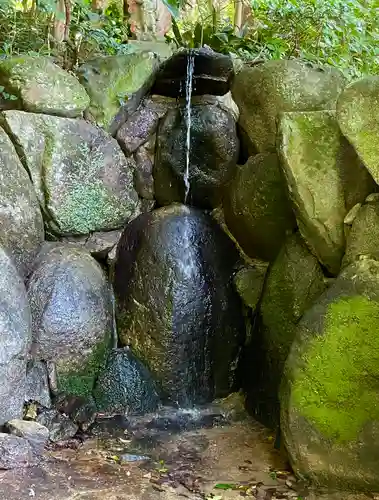 鎮國寺の庭園