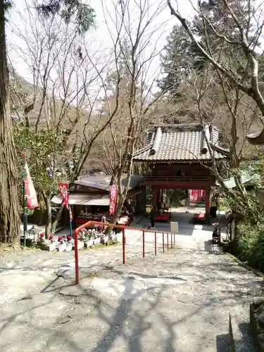 龍蔵寺の山門