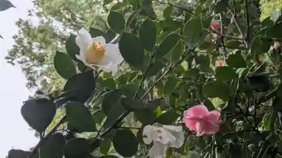 城南宮(京都府)