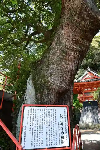 金剛宝寺（紀三井寺）(和歌山県)