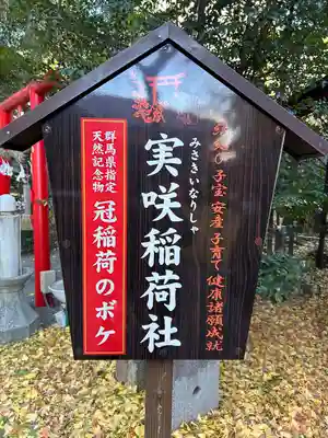 冠稲荷神社(群馬県)