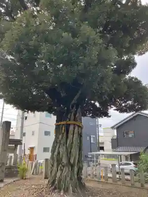 外山神社(愛知県)