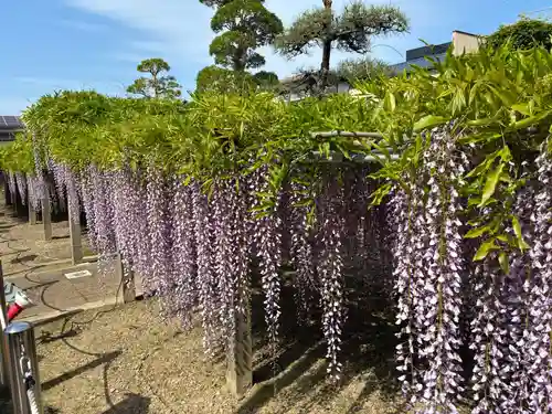 地福寺(徳島県)