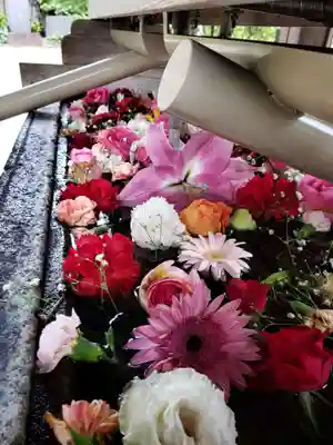 鳩森八幡神社(東京都)