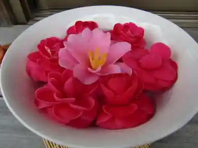 今市報徳二宮神社の手水舎