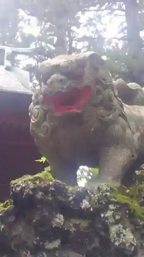 富士山東口本宮 冨士浅間神社の狛犬