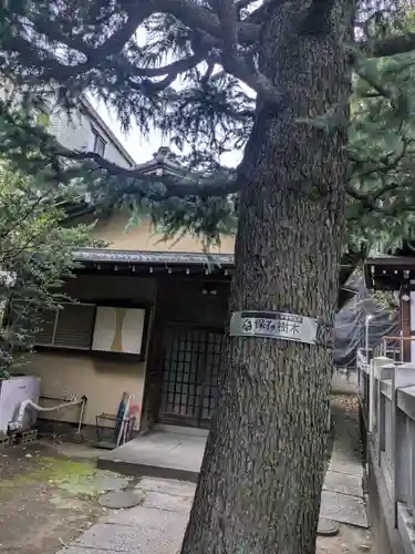 蒲原神社(東京都)