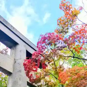 彌彦神社 (伊夜日子神社)の自然(2024年10月08日(火) 09時37分27秒投稿)