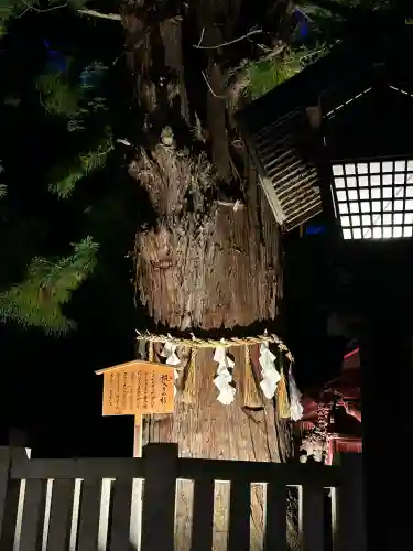 諏訪大社下社秋宮(長野県)