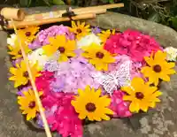 真言宗 善通寺派 薬王寺の手水舎