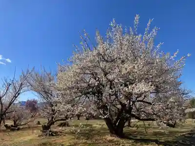 八幡社（小田原市曽我別所）(神奈川県)