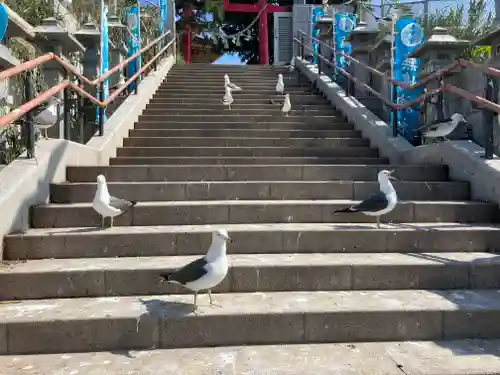 蕪嶋神社の動物