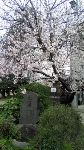 石和八幡宮(官知物部神社)の自然