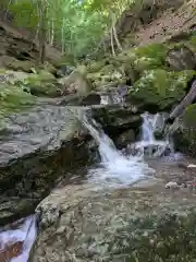 両神神社 奥社の自然