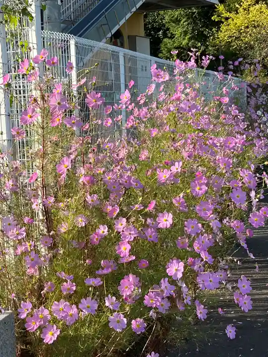 天満神社(滋賀県)
