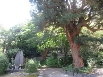 正安寺(神奈川県)
