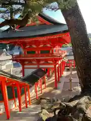 日御碕神社(島根県)