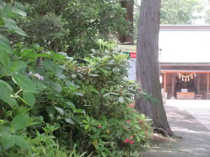 星川杉山神社(神奈川県)