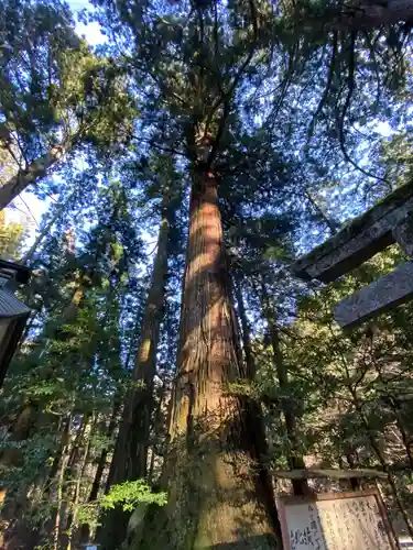 花園神社の自然