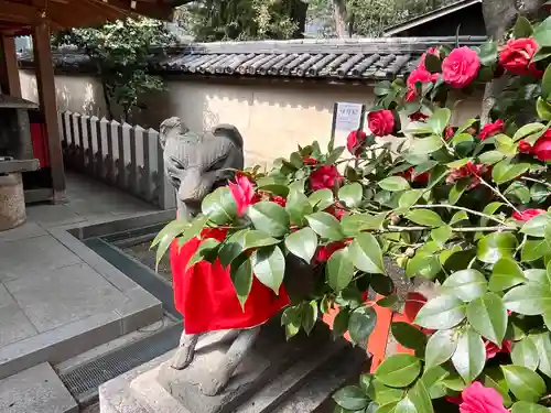 杭全神社(大阪府)