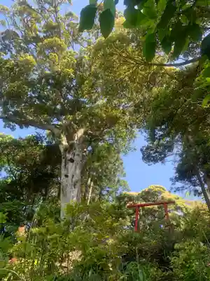 三宝荒神の自然