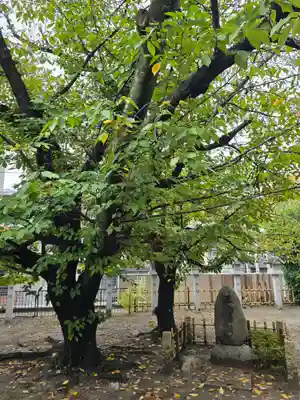 真田山 三光神社(大阪府)