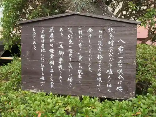 極楽寺（霊鷲山感應院極楽律寺）のその他建物